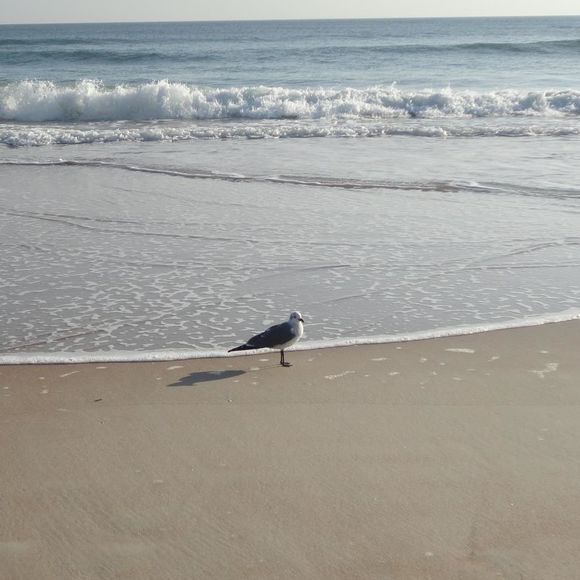 Meet your Posher, Jim - Picture 1 of 1